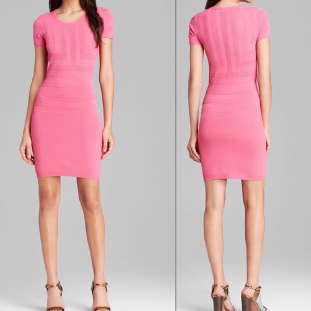 French Connection Montana Muse perforated dress